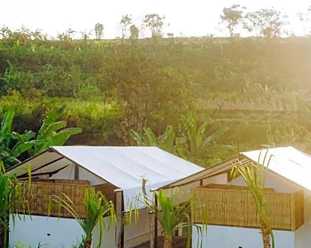Camani Glamping 4*